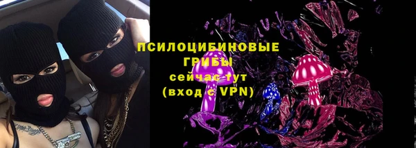 прущий лед Арсеньев