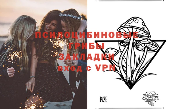ГАЛЛЮЦИНОГЕННЫЕ ГРИБЫ Армянск