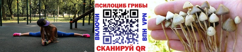 Галлюциногенные грибы Magic Shrooms Рыбное
