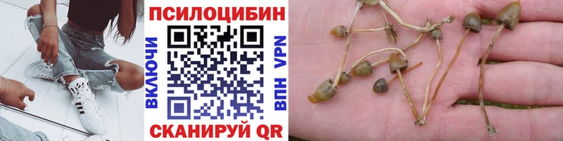Галлюциногенные грибы Psilocybe Рыбное